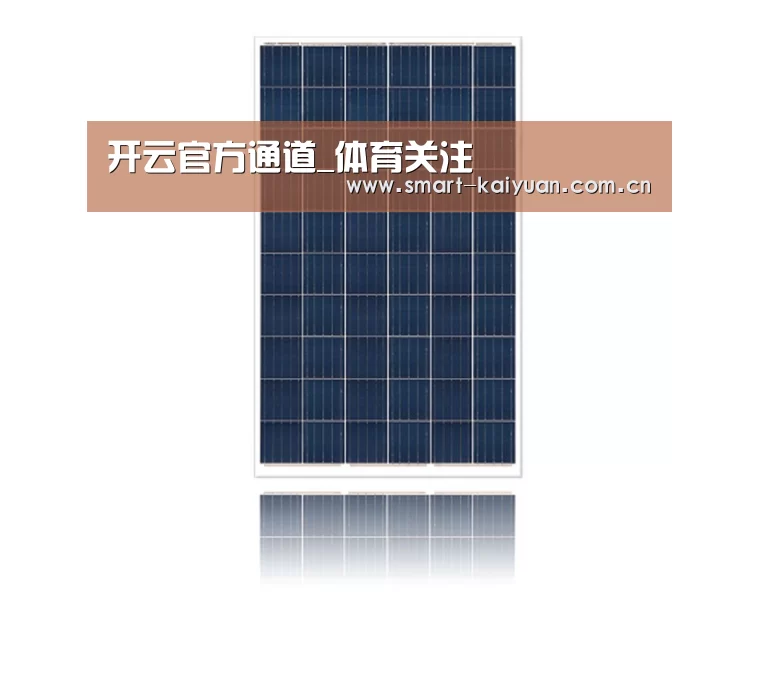 产品名称四