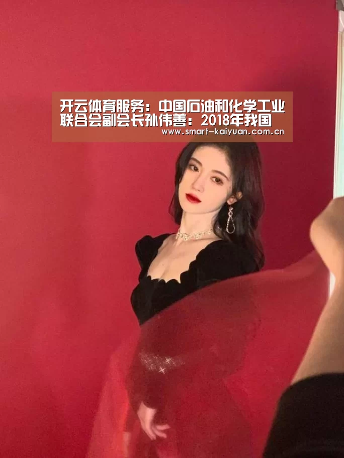 开云体育服务:中国石油和化学工业联合会副会长孙伟善:2018年我国能源生产总量为世界第一(图2) 开云体育服务